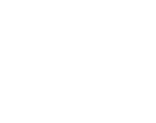 bank of ireland white logo